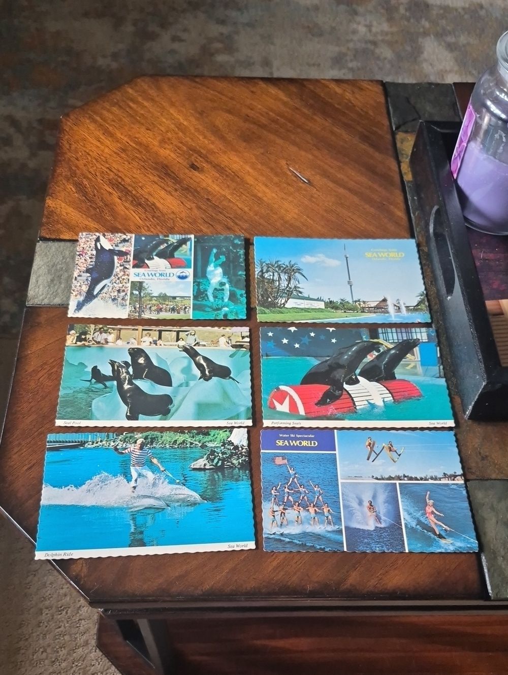 Postcard Collection 1974 Sea World Florida. All New